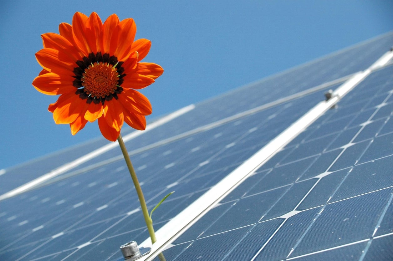 Fun facts about solar!